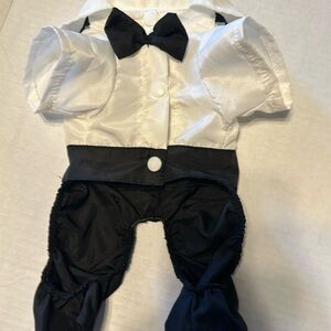 Dog tuxedo from Pet Smart